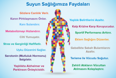 Hemodiyaliz Su Arıtma Sistemi Nedir Hemodiyaliz Su Arıtma Sistemi Nedir
